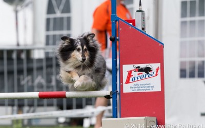 Snoopy wordt 3e op het NK van 2014