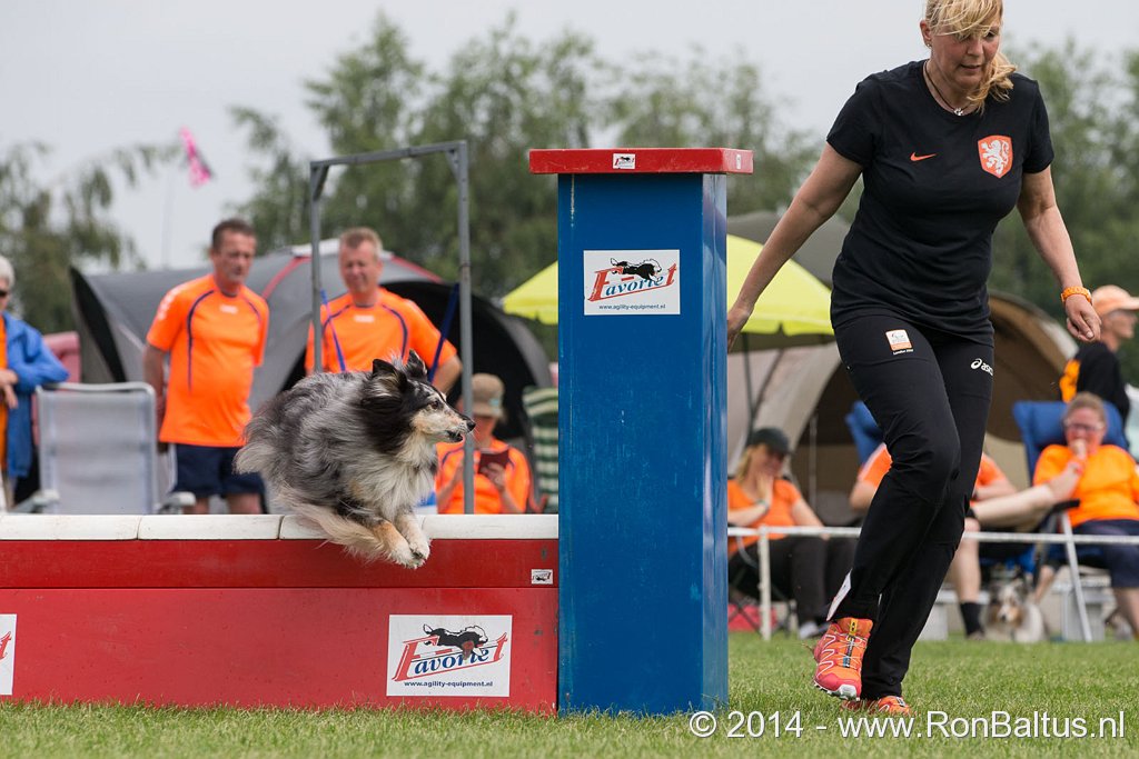 Agility NK 2014 snoopy