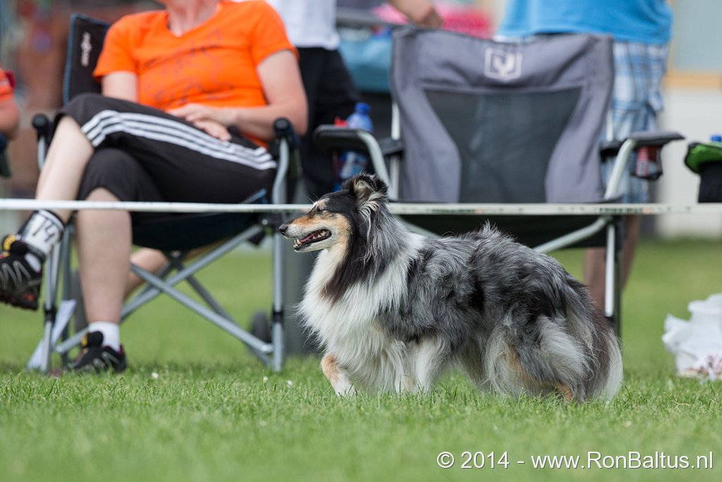 Agility NK 2014 snoopy