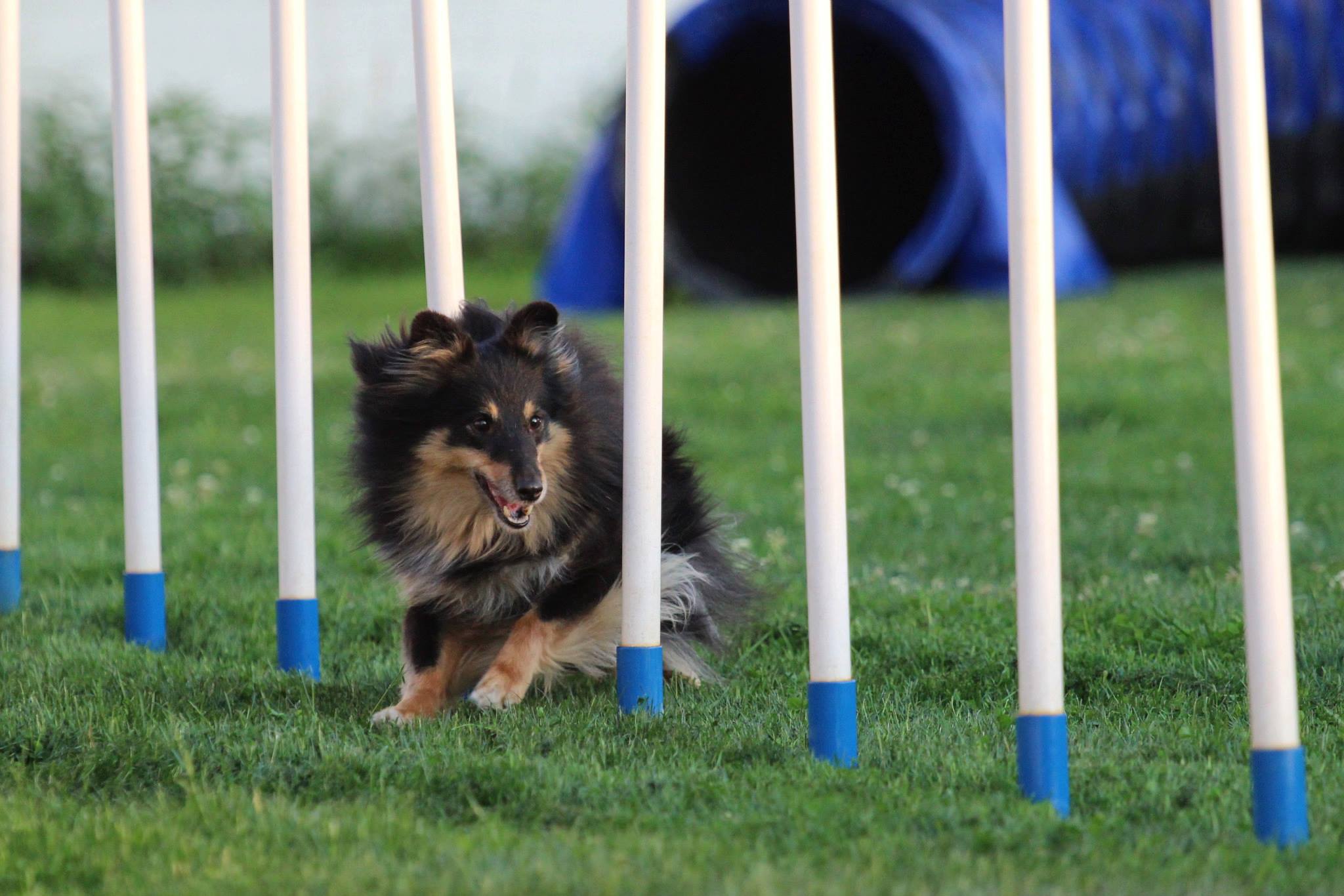 Kayleigh tijdens de training