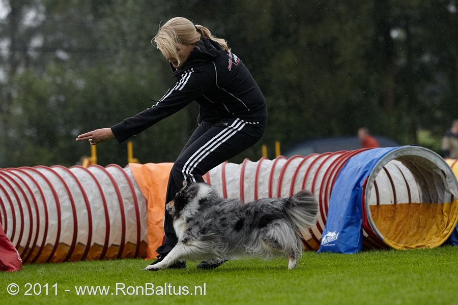 Agility: juni 2011 NK snoopy