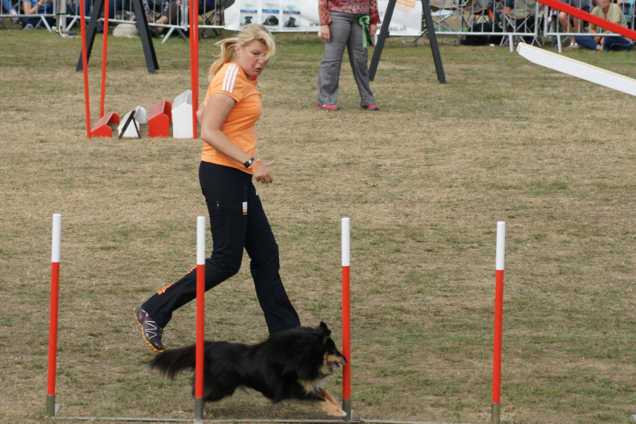 Agility Kayleigh tijdens finale Dogs in Need (UK)