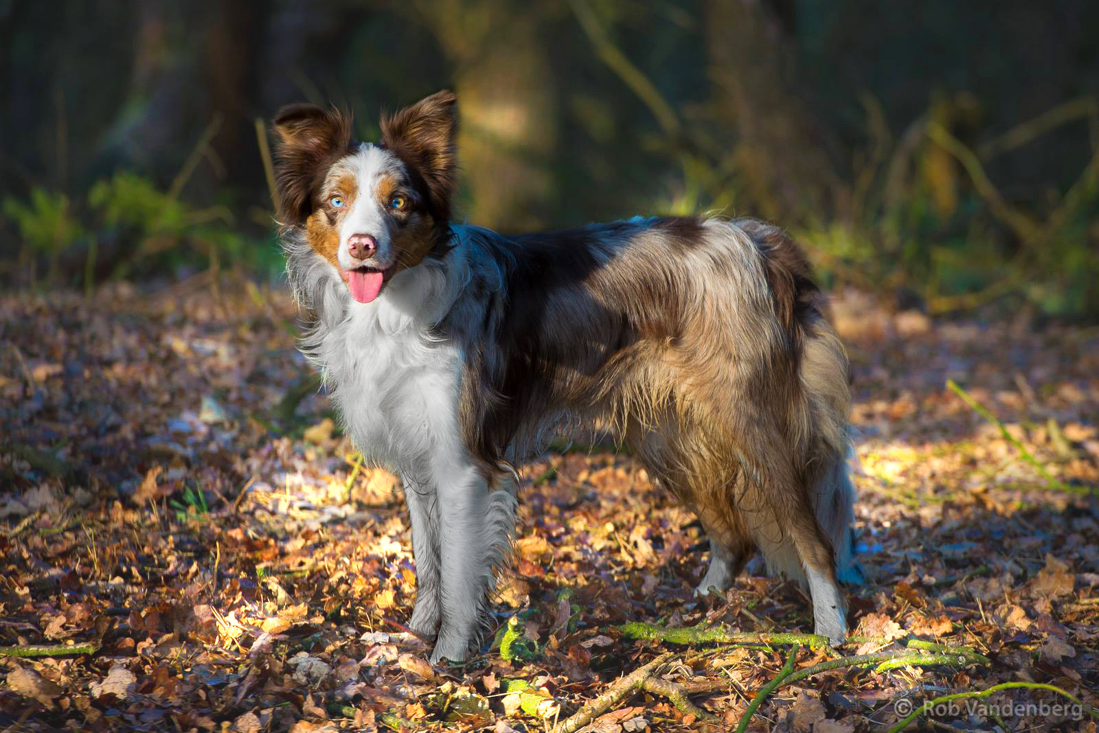 Matika 1,5 jaar oud