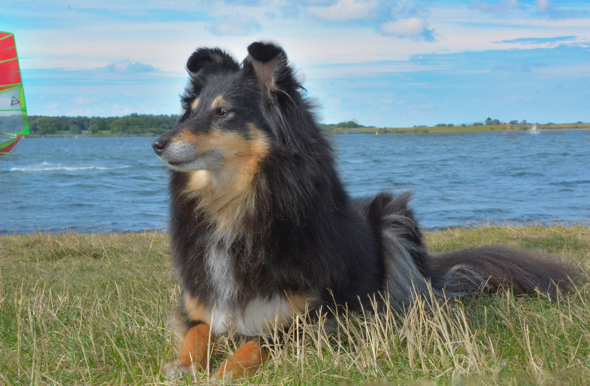 Kayleigh in de zomer van 2015