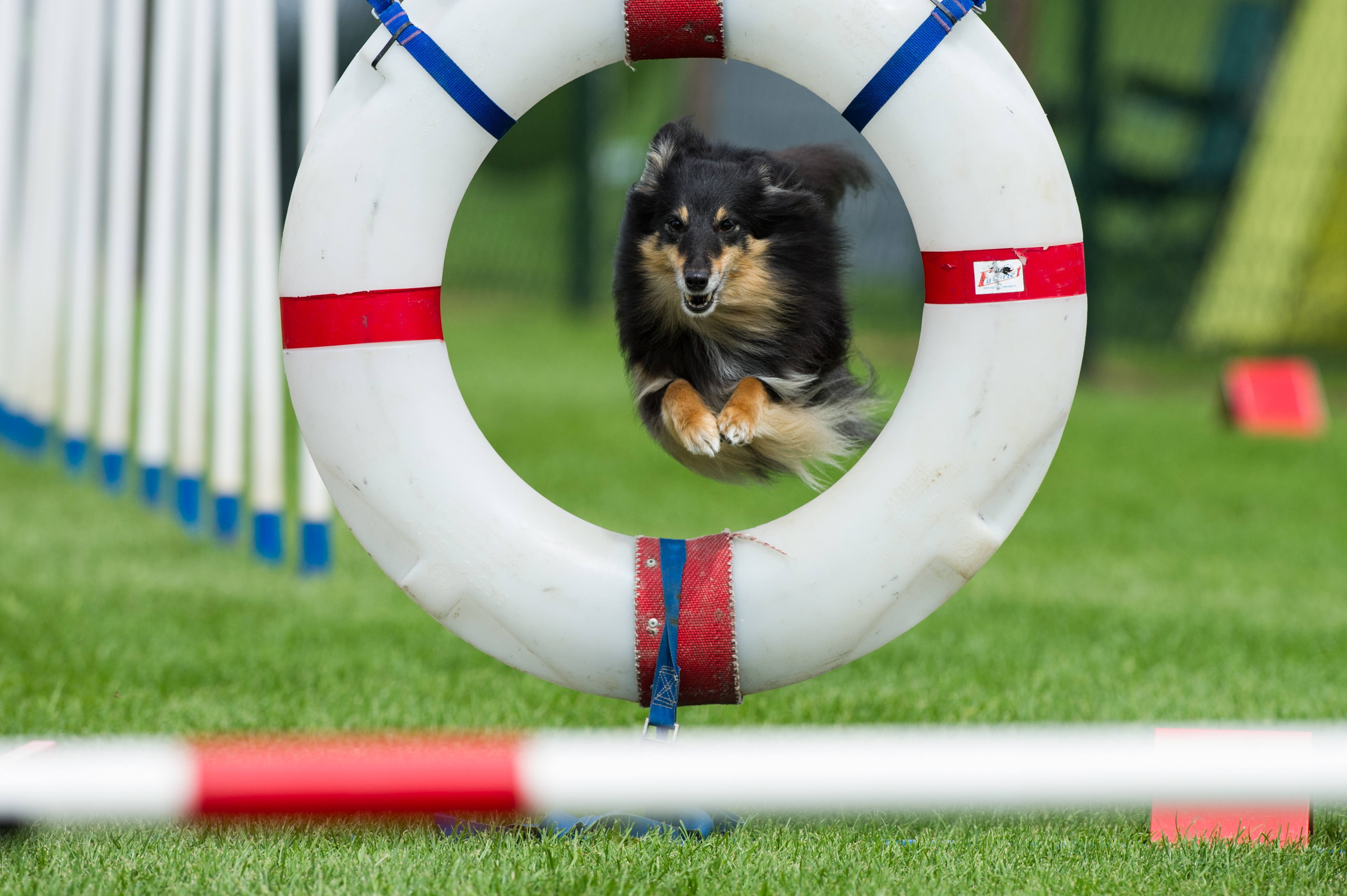 Agility: Kayleigh op de IABC 2014