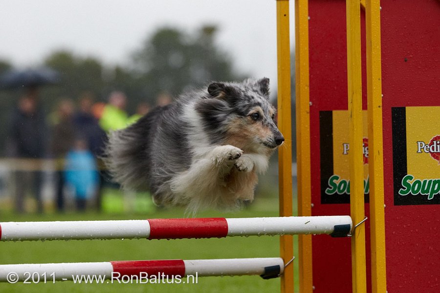 Agility: Pebbles NK 2011